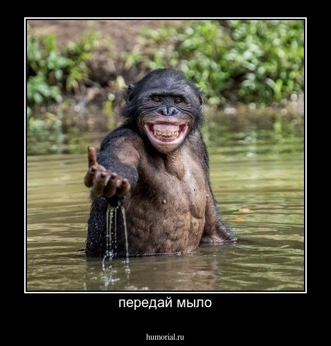 передай мыло