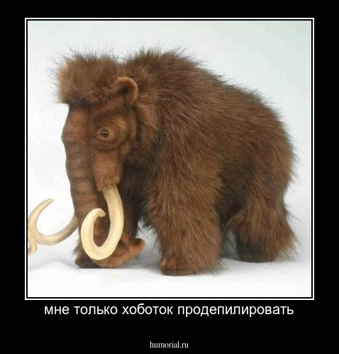 мне только хоботок продепилировать