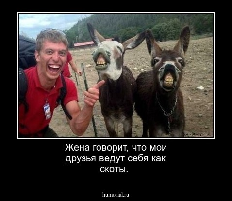 Жена говорит, что мои друзья ведут себя как скоты.