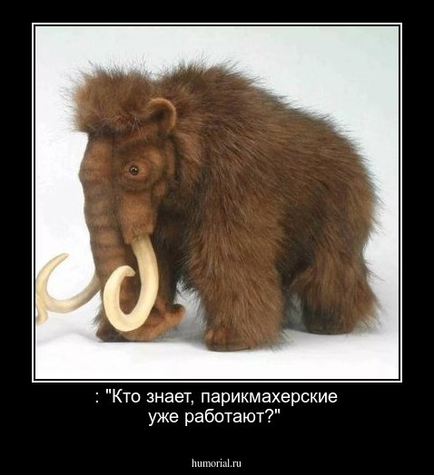 : "Кто знает, парикмахерские уже работают?"