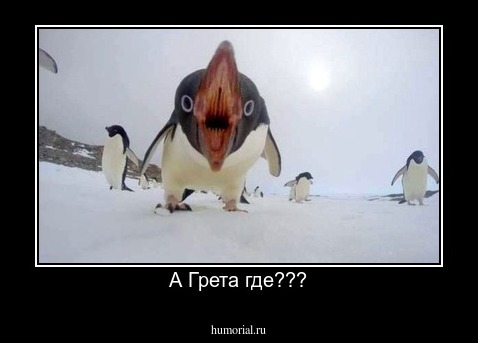 А Грета где???