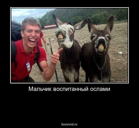 Мальчик воспитанный ослами


