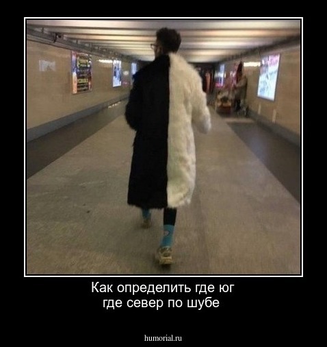 Как определить где юг где север по шубе 
