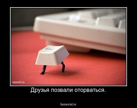 Друзья позвали оторваться.