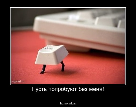 Пусть попробуют без меня!