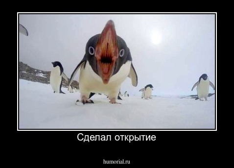 Сделал открытие