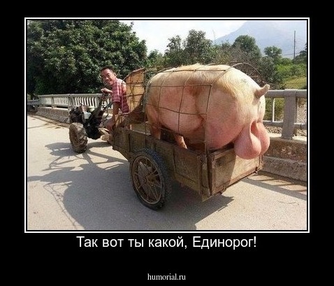 Так вот ты какой, Единорог!