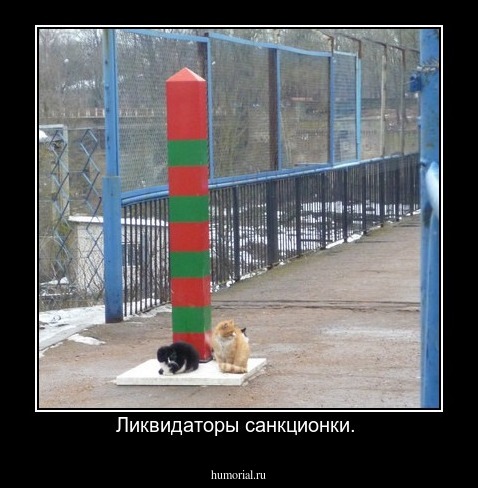 Ликвидаторы санкционки. 