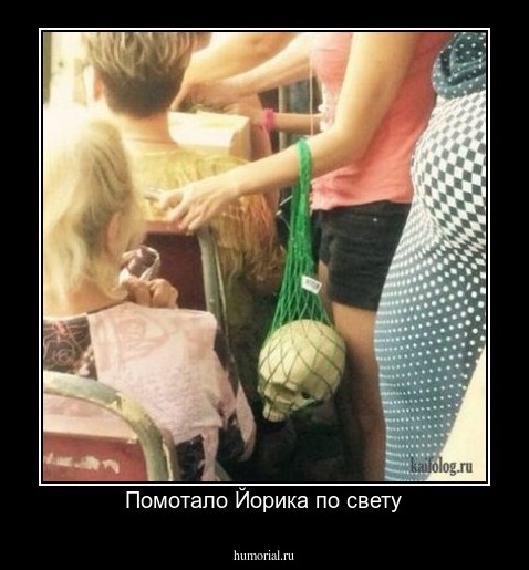 Помотало Йорика по свету