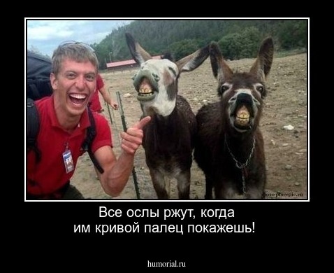 Все ослы ржут, когда им кривой палец покажешь!