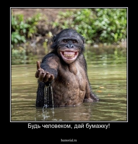Будь человеком, дай бумажку!
