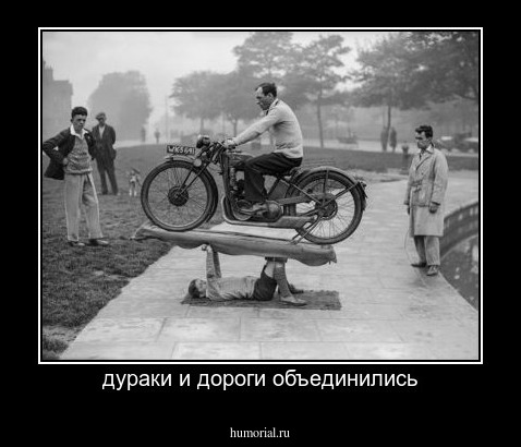 дураки и дороги объединились