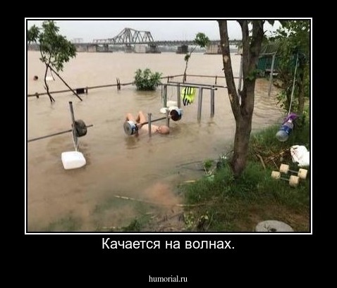 Качается на волнах.