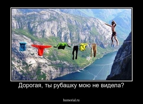 Дорогая, ты рубашку мою не видела?