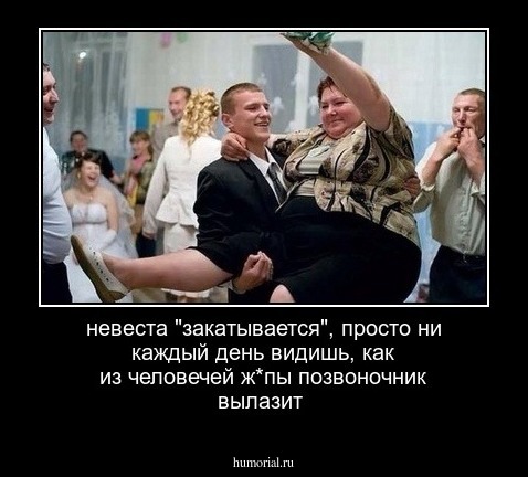 невеста "закатывается", просто ни каждый день видишь, как из человечей ж*пы позвоночник вылазит