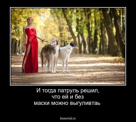 И тогда патруль решил, что ей и без маски можно выгуливтаь