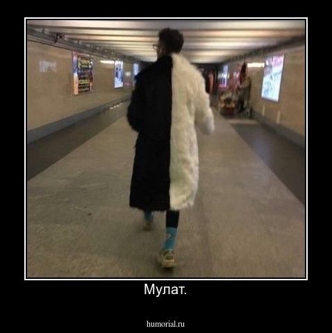 Мулат.