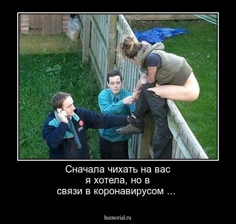 Сначала чихать на вас я хотела, но в связи в коронавирусом ...