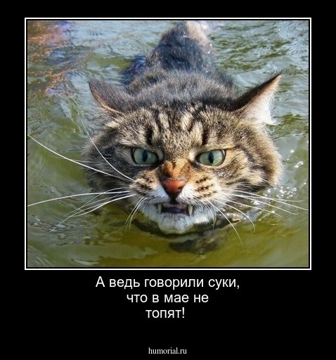 А ведь говорили суки, что в мае не топят!