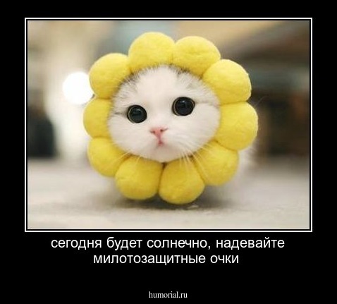 сегодня будет солнечно, надевайте милотозащитные очки