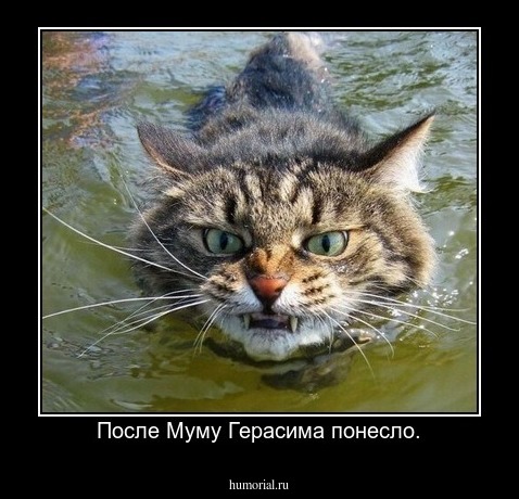 После Муму Герасима понесло.