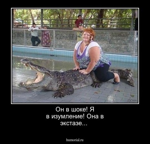 Он в шоке! Я в изумление! Она в экстазе...