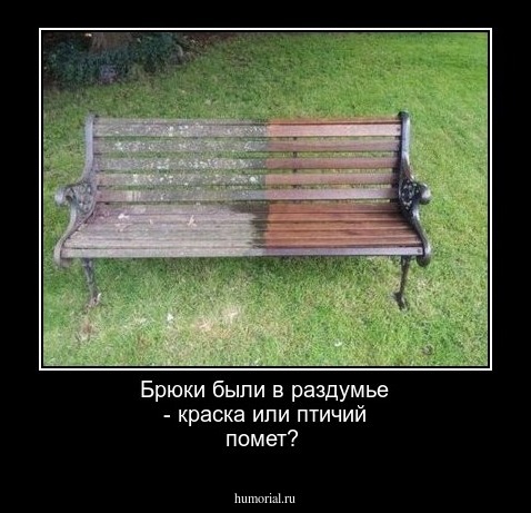 Брюки были в раздумье - краска или птичий помет?