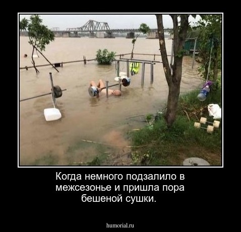 Когда немного подзалило в межсезонье и пришла пора бешеной сушки.