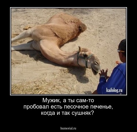 Мужик, а ты сам-то пробовал есть песочное печенье, когда и так сушняк?