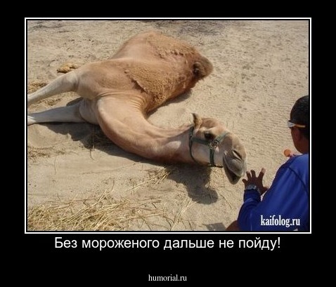 Без мороженого дальше не пойду!