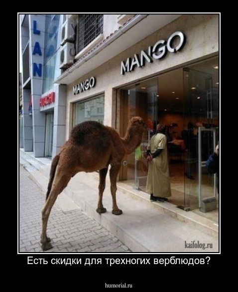 Есть скидки для трехногих верблюдов?
