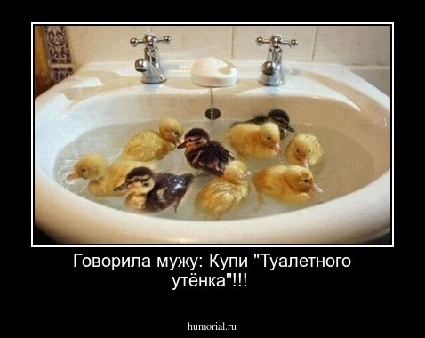Говорила мужу: Купи "Туалетного утёнка"!!!