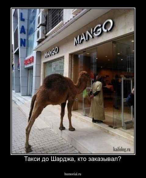 Такси до Шарджа, кто заказывал?