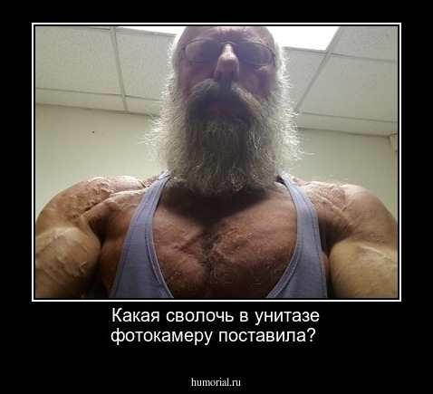 Какая сволочь в унитазе фотокамеру поставила?