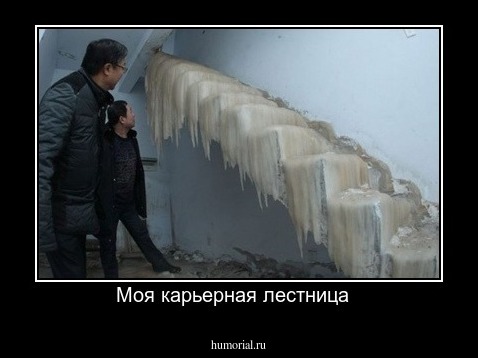 Моя карьерная лестница  