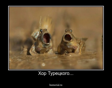 Хор Турецкого...