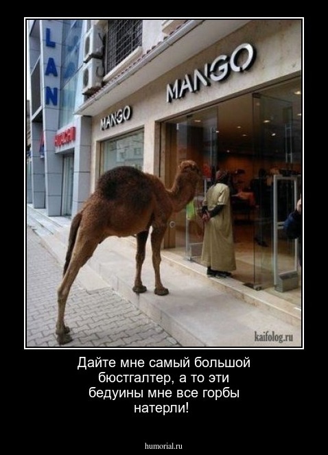Дайте мне самый большой бюстгалтер, а то эти бедуины мне все горбы натерли!