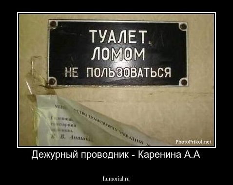 Дежурный проводник - Каренина А.А