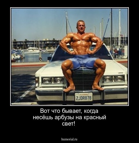 Вот что бывает, когда несёшь арбузы на красный свет!
