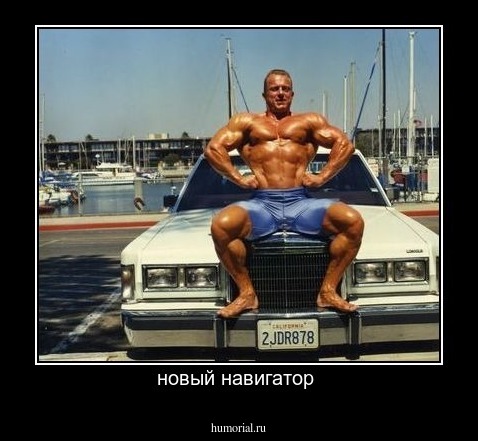 новый навигатор 