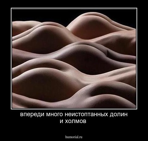 впереди много неистоптанных долин и холмов