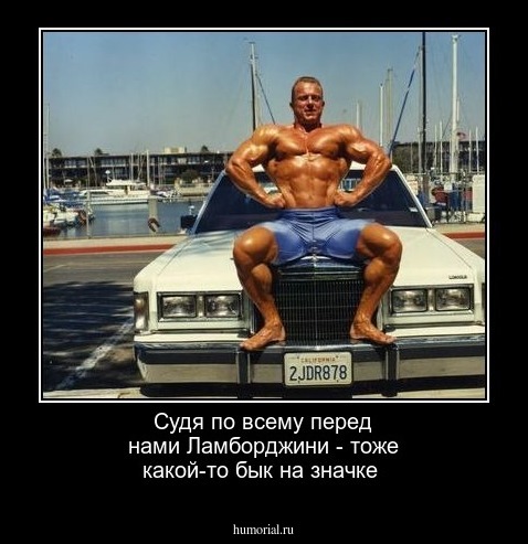 Судя по всему перед нами Ламборджини - тоже какой-то бык на значке