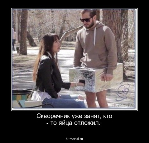 Скворечник уже занят, кто - то яйца отложил.