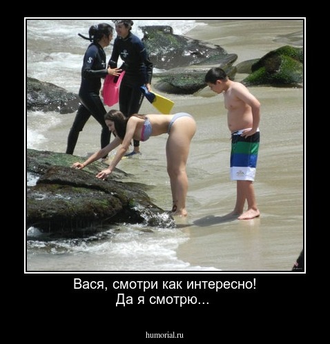 Вася, смотри как интересно! Да я смотрю...