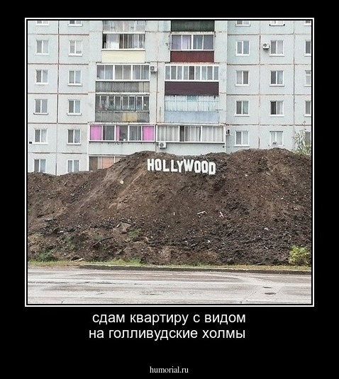 сдам квартиру с видом на голливудские холмы