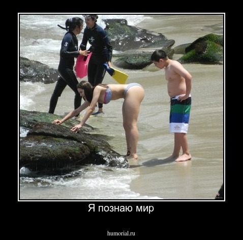 Я познаю мир