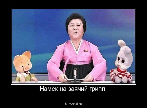 Намек на заячий грипп 
