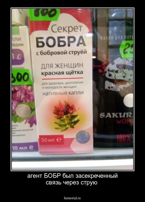 агент БОБР был засекреченный связь через струю