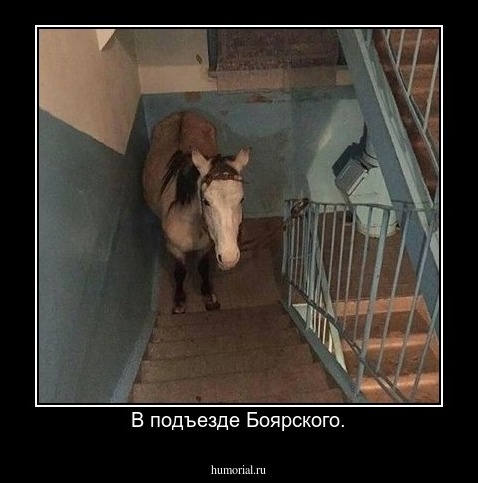 В подъезде Боярского.