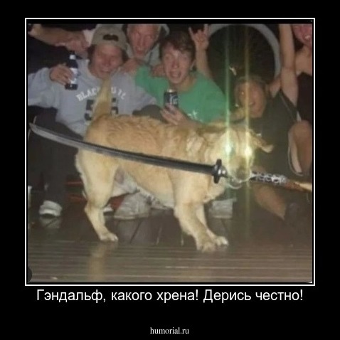 Гэндальф, какого хрена! Дерись честно!
